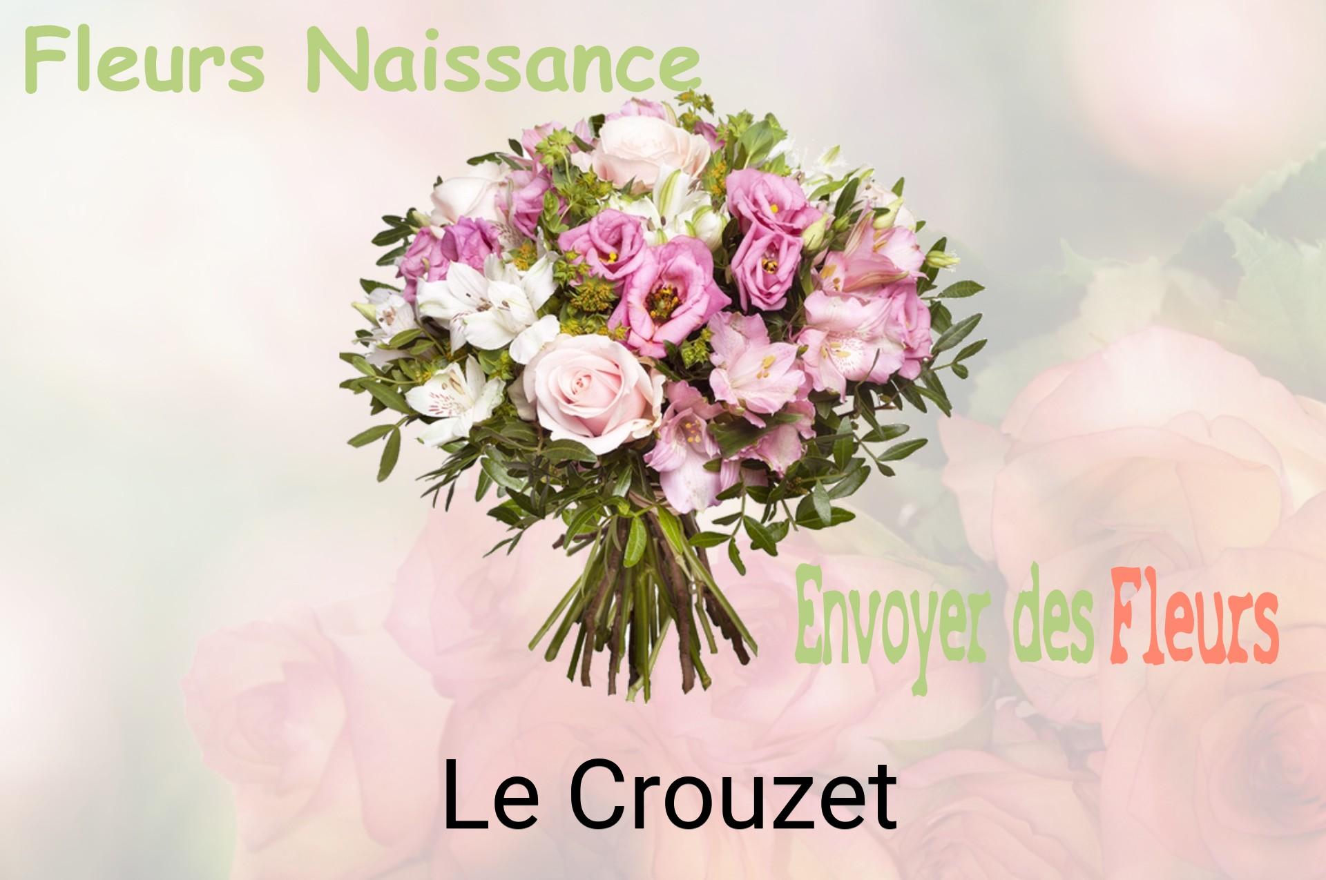 Bouquet de fleurs de naissance livré à Le Crouzet